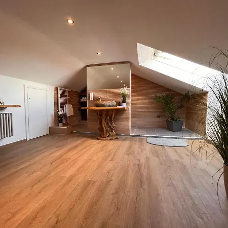 Wohnung Marie Schwarzwald Unikat In Vs Mit Terrasse Villingen-Schwenningen Exterior photo